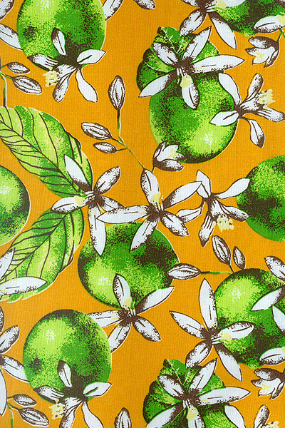 LEMON C/ Fdo. Blot 2